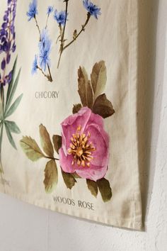 a pink flower is hanging on the wall next to blue and purple flowers, which are labeled with chicory woods rose