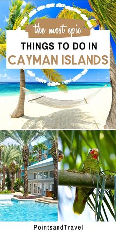 The Most Epic Things to do in Cayman Islands Grand Cayman Island, Cayman Island, Caribbean Vacation, Caribbean Destinations, Caribbean Culture, Central America Travel, Caribbean Vacations, Caribbean Beaches, Caribbean Travel