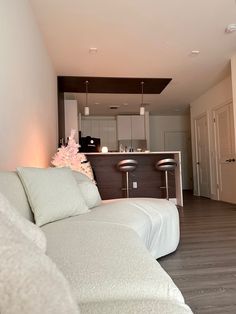 a living room filled with furniture and a kitchen in the back ground behind it on top of a hard wood floor