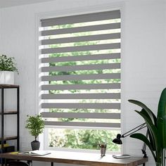 a living room with a large window covered in blinds and potted plants next to it