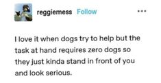 a tweet that reads, i love it when dogs try to help the task at hand requires zero dogs so they just stand in front of you and look serious