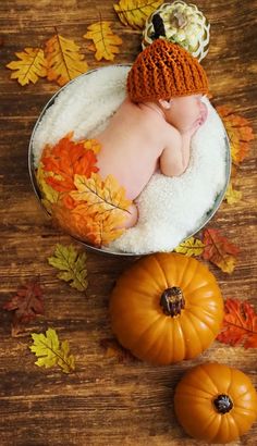 a baby is sleeping in a bowl with pumpkins and leaves on the table next to it