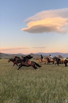 Horses galloping at sunset in Argentina Riding Holiday, Western Life, Horse Aesthetic, Horse Life, Trail Riding, Horse Rider