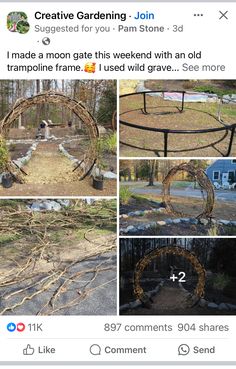 several pictures of different types of plants and trees in the same area, including an old trampoline frame