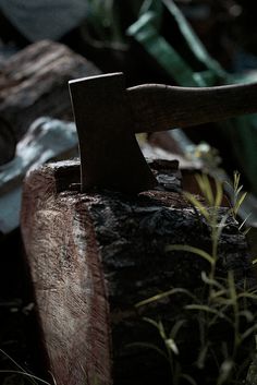 an old hammer is sitting on top of a piece of wood next to some plants