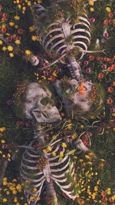 two skeletons laying in the grass surrounded by flowers