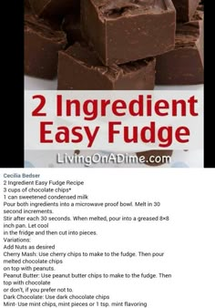 two ingredient easy fudge recipe on a plate