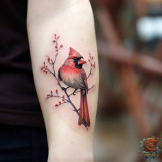 a red bird sitting on top of a tree branch with berries around it's branches