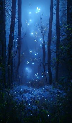 a forest filled with lots of butterflies flying through the air above it's ground