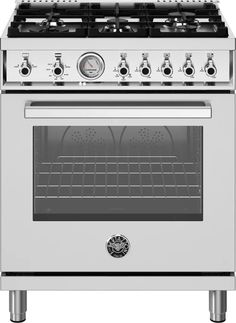 an oven with two burners and four burners on the front, in stainless steel