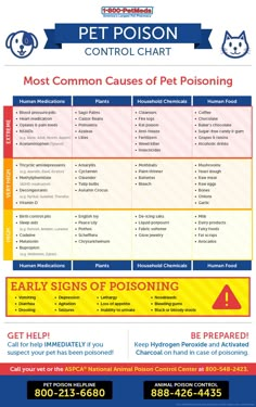 the most common cause of pet pooining is that it's dangerous to eat