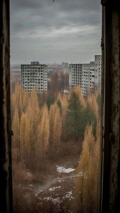 an open window looking out onto a city with tall buildings and trees in the foreground