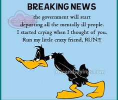 a cartoon duck with the words breaking news on it's face and an image of a