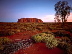 an image of ulurui in the outback with trees and bushes around it