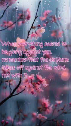 pink flowers with raindrops on them and a quote from the poem when everything seems to be going against you, remember that the airplane takes off against the wind not with it