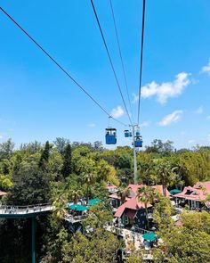 the gondola is suspended above trees and houses