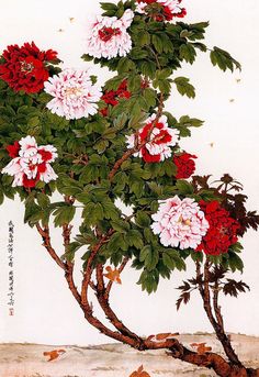 牡丹•peony Peony Paintings, Chinese Traditional Art, Art Story, Flowers Art, Chinese Traditional