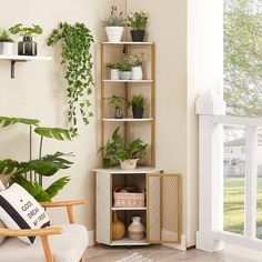 a living room with potted plants on shelves and a chair in front of the window