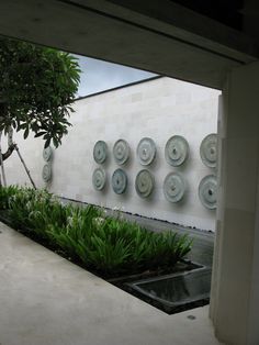 a white wall with green plants in front of it and several plates on the wall