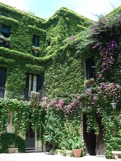 an old building covered in vines and flowers