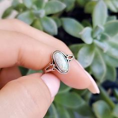 ~Opal Sterling Silver Ring~ Top Of Ring Height: 13.6mm X 7.5mm Band Width: 2.6mm Center Stone Size: 11.5mm X 6mm Stone Shape: Oval Lab Opal Total Number Of Stones: 1 Metal: 925 Sterling Silver Finish: High Polish 925 Stamped Thank You For Visiting Sterling Silver Rings With Stones, Sterling Silver Opal Ring, Silver Opal Ring, Silver Rings With Stones, Christmas Inspo, Engagement Rings Opal, Ring Minimalist, Minimalist Ring, Ring Oval