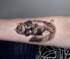 Cat Memorial Tattoo, Rip Tattoos For Mom, Darkside Tattoo, Memorial Tattoo Ideas, Puppy Tattoo, Infinity Symbol Tattoo, Snake Drawing, Memorial Tattoo