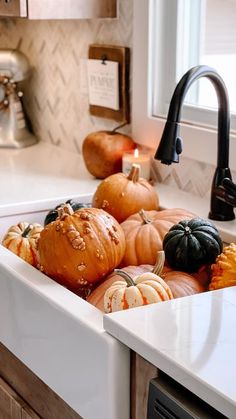 a kitchen sink filled with lots of pumpkins