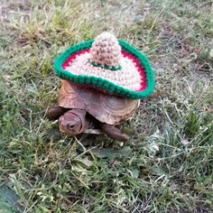 a tortoise shell with a crocheted hat on it