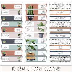 the top ten houseplants to draw for your home decorating project, including plants and