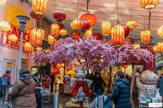 Une visite insolite du quartier chinois dans le 13e en famille Paris Must See, Paris, France