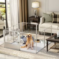 a dog is sitting in a glass box on the floor next to a couch and coffee table