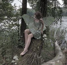 a woman sitting on top of a tree next to a lake