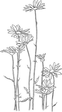 three flowers are shown in this black and white drawing, with one flower on the other side