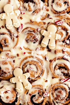 cinnamon rolls with white icing and teddy bears on top