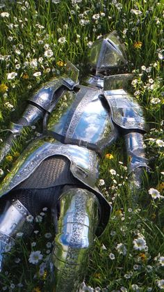 a knight's armor laying in the grass with daisies around it and flowers all around