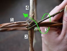 the cross is made up of twigs and has green arrows pointing to it