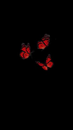 three red butterflies flying in the dark