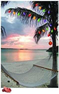 a hammock hanging from a palm tree next to the ocean at sunset or sunrise