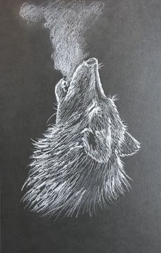 Uv Photography, Wolf Craft, Blackboard Art, Pencil Drawing Images, Quilling Animals, Wolf Drawing, White Pen