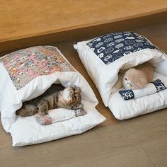 two cats laying on pillows in front of a wooden wall and floor, one cat is sleeping while the other lays down