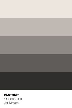 pantone's color scheme for whitecap gray