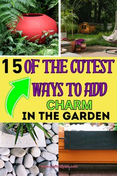 different types of garden with text overlay that reads, 15 of the cutest ways to add charm in the garden