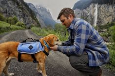 a man petting a dog on the side of a road in front of a waterfall