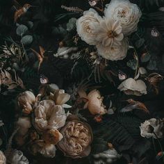 an arrangement of flowers and leaves on a black background