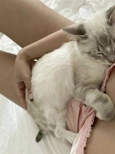 a woman in pink panties holding a white cat