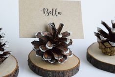 three pine cones are sitting on wood slices with a place card in front of them