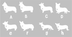 the silhouettes of dogs are shown in white on a gray background, with letters and numbers