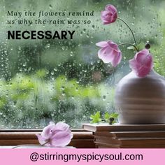 a vase with pink flowers sitting on top of a window sill next to a book