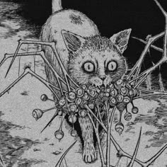 a black and white drawing of a cat in front of a spider