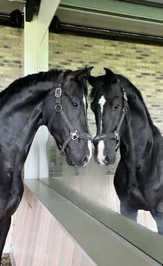 two black horses standing next to each other in a barn with brick wall behind them